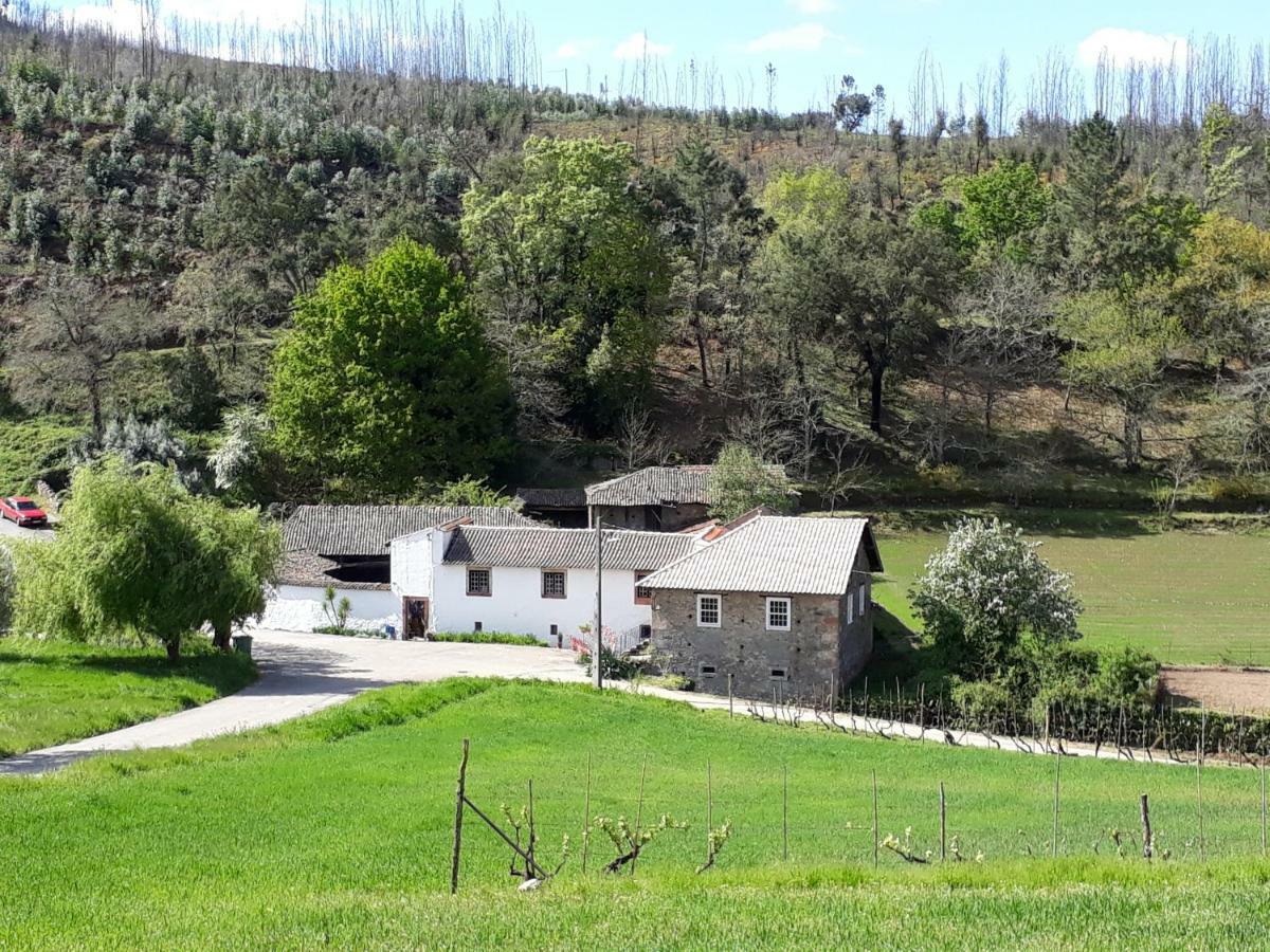 A Charming , Traditional Cottage At Quinta Da Ribeira 빌라 노바 드 포이아르스 외부 사진